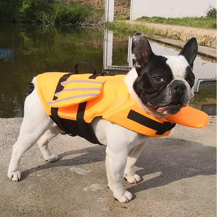 Dog Life Jacket – High Buoyancy Safety Vest with Adjustable Straps and Rescue Handle