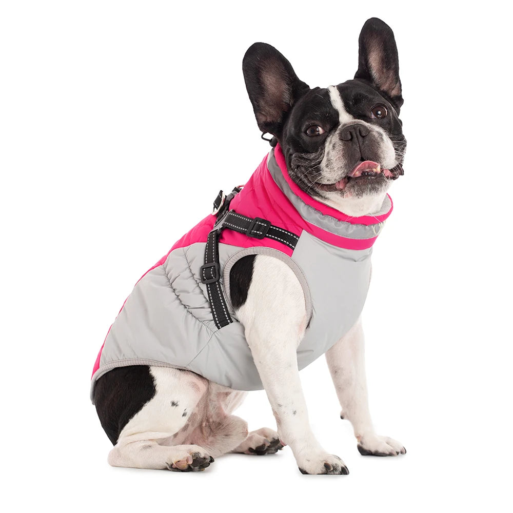 Waterproof Dog Jacket with Harness – Warm Winter Coat for Small to Large Dogs