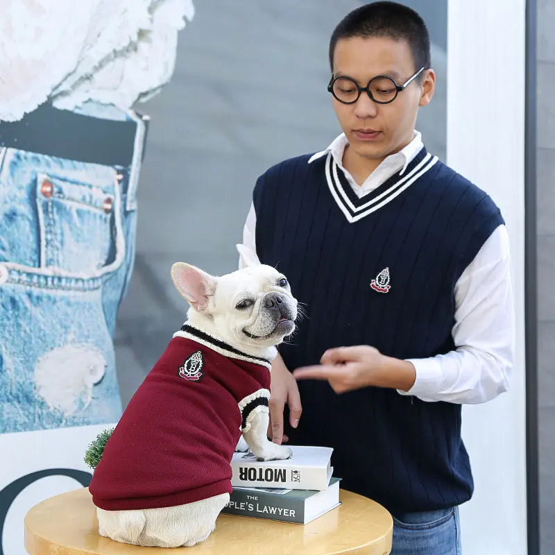Winter Knit Dog Sweater – College Style V-Neck Warm Pet Vest for Small Dogs