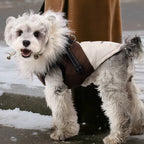 Fleece Hooded Dog Winter Coat – Soft Plush Cotton Vest for Warmth and Comfort