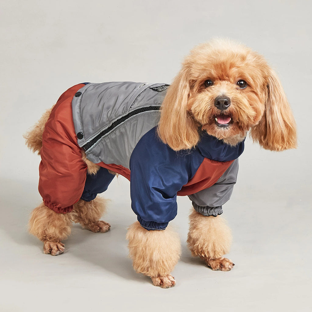 Winter Dog Jacket with Traction Ring – Thick, Windproof & Warm Coat for Medium & Large Dogs
