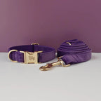 Purple Velvet Personalized Dog Collar, Leash & Harness Set