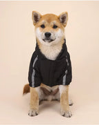 Waterproof Warm Dog Jacket – Reflective Hooded Winter Coat for Small to Large Pets