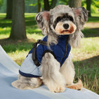 Waterproof Winter Dog Jacket with Harness – Warm Outdoor Coat for Small & Medium Dogs