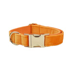 Orange Velvet Personalized Dog Collar, Leash & Harness Set