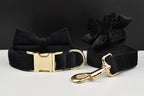 Black Velvet Personalized Dog Collar, Leash & Harness Set