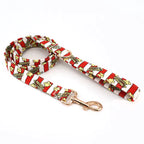 Pupcorn Party Dog Collar and Leash Set