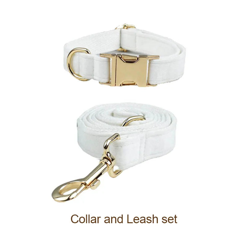 White Velvet Personalized Dog Collar, Leash & Harness Set