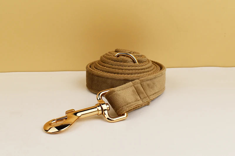 Shallow Khaki Velvet Personalized Dog Collar, Leash & Harness Set
