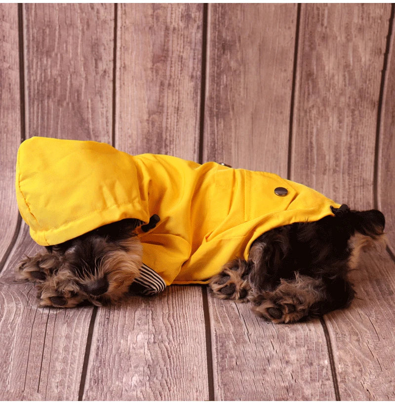 Waterproof Winter Dog Coat – Warm, Windproof Jacket for All Breeds, Perfect for Outdoor Cold Weather