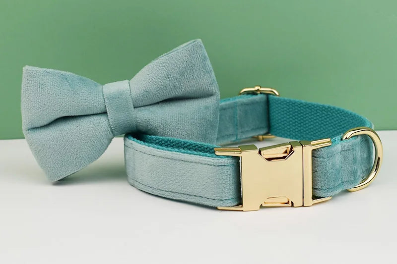 Green Velvet Personalized Dog Collar, Leash & Harness Set
