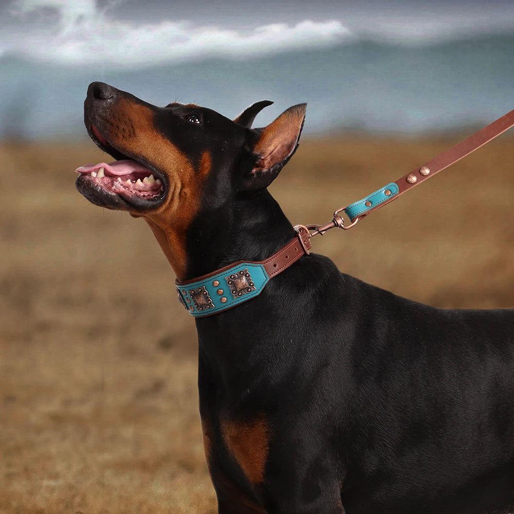 Real Leather Dog Collar & Leash Set – Durable Padded Luxury Design for Medium & Large Dogs