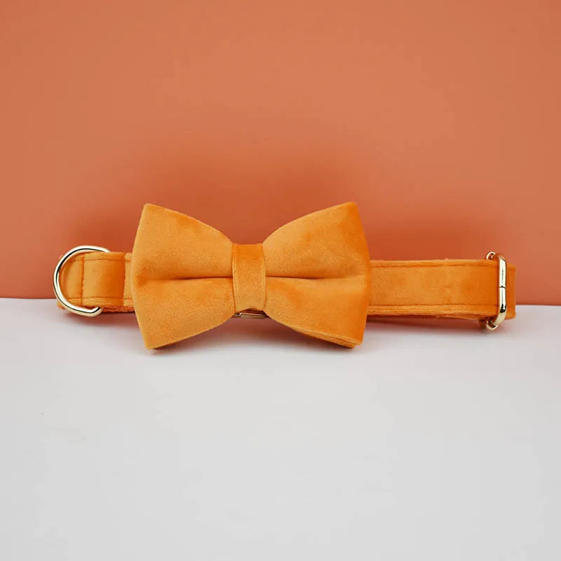 Orange Velvet Personalized Dog Collar, Leash & Harness Set