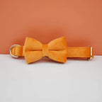 Orange Velvet Personalized Dog Collar, Leash & Harness Set