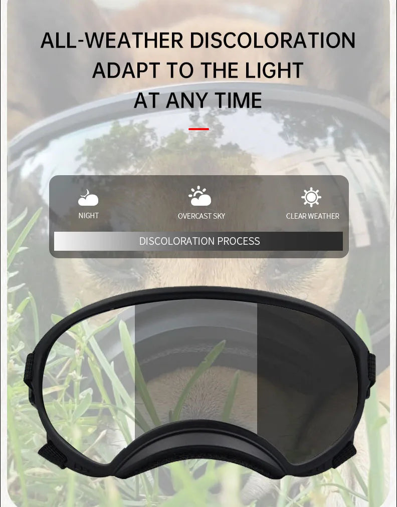 Color-Changing Dog Sunglasses – UV-Resistant Goggles for Outdoor Protection