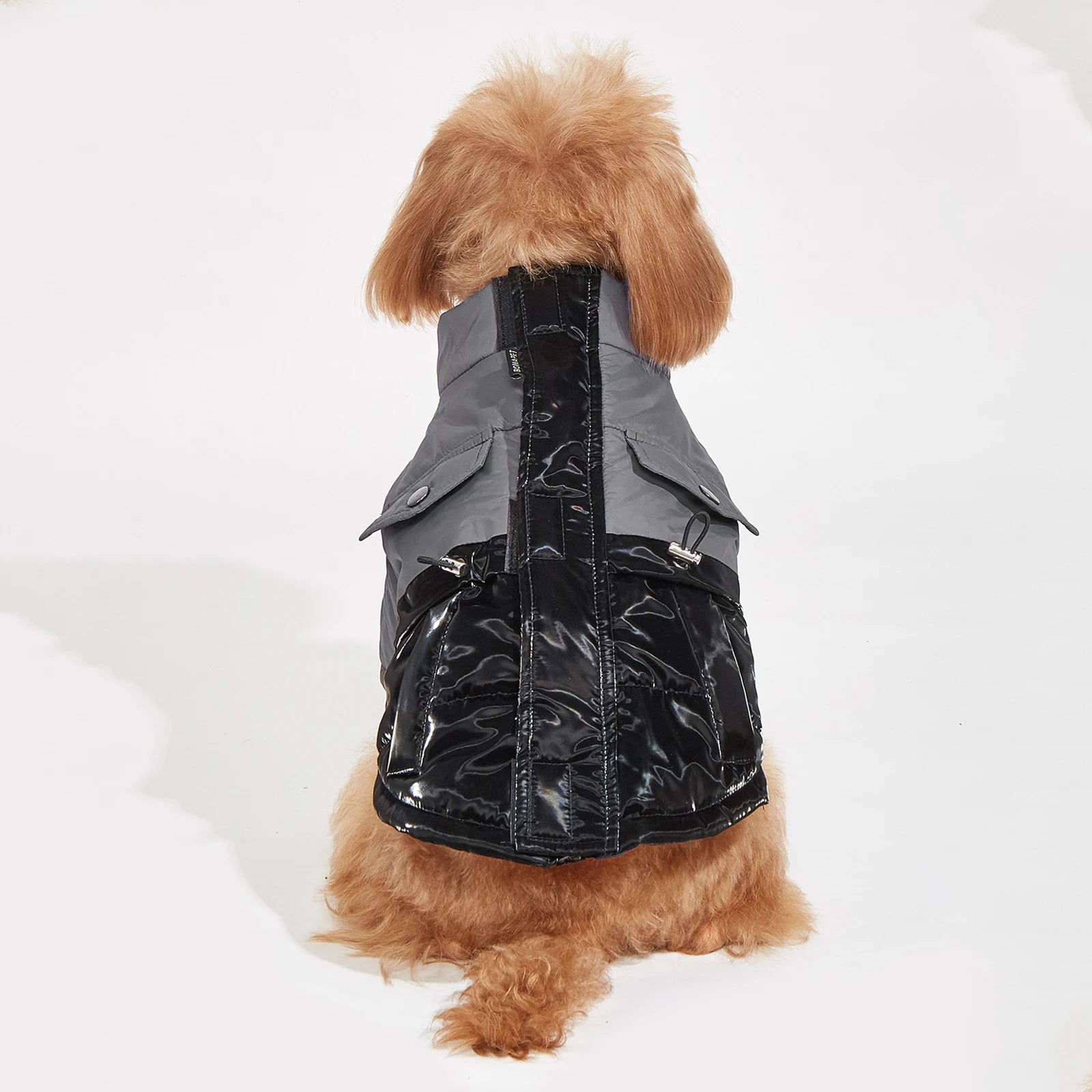 Winter Dog Jacket – Windproof, Cold-Resistant Coat for Small & Medium Dogs