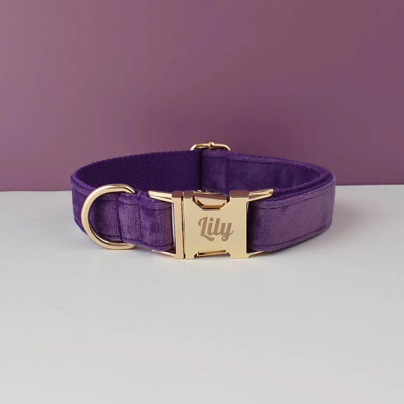 Purple Velvet Personalized Dog Collar, Leash & Harness Set