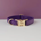 Purple Velvet Personalized Dog Collar, Leash & Harness Set