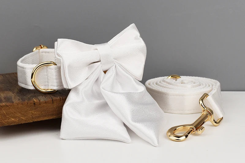 White Personalized Dog Collar, Leash & Harness Set