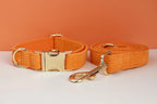 Orange Corduroy Personalized Dog Collar, Leash & Harness Set