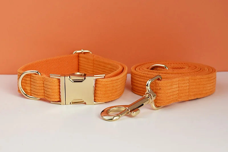 Orange Corduroy Personalized Dog Collar, Leash & Harness Set