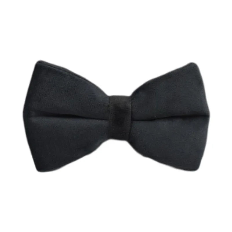 Black Velvet Personalized Dog Collar, Leash & Harness Set