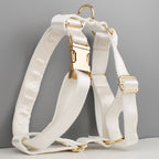 White Personalized Dog Collar, Leash & Harness Set