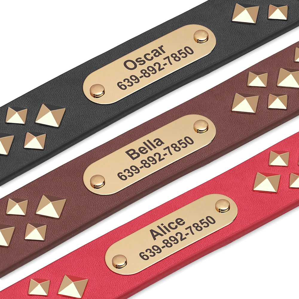 Genuine Leather Dog Collar – Personalized Spiked Studded Design for Small, Medium & Large Dogs