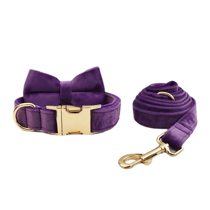 Purple Velvet Personalized Dog Collar, Leash & Harness Set