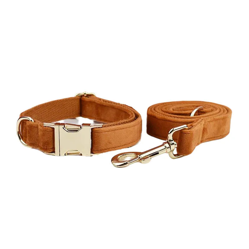 Ancient Pottery Velvet Personalized Dog Collar, Leash & Harness Set