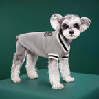Winter Knit Dog Sweater – College Style V-Neck Warm Pet Vest for Small Dogs