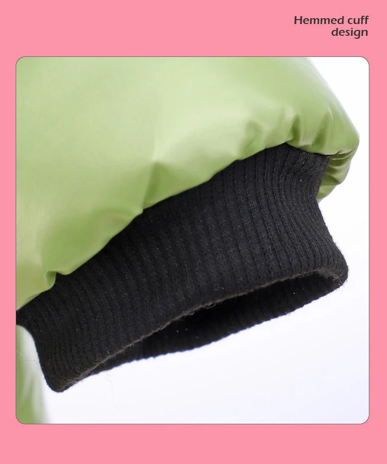 Waterproof Winter Dog Jacket – Warm Down Coat with Hood for Small Dogs