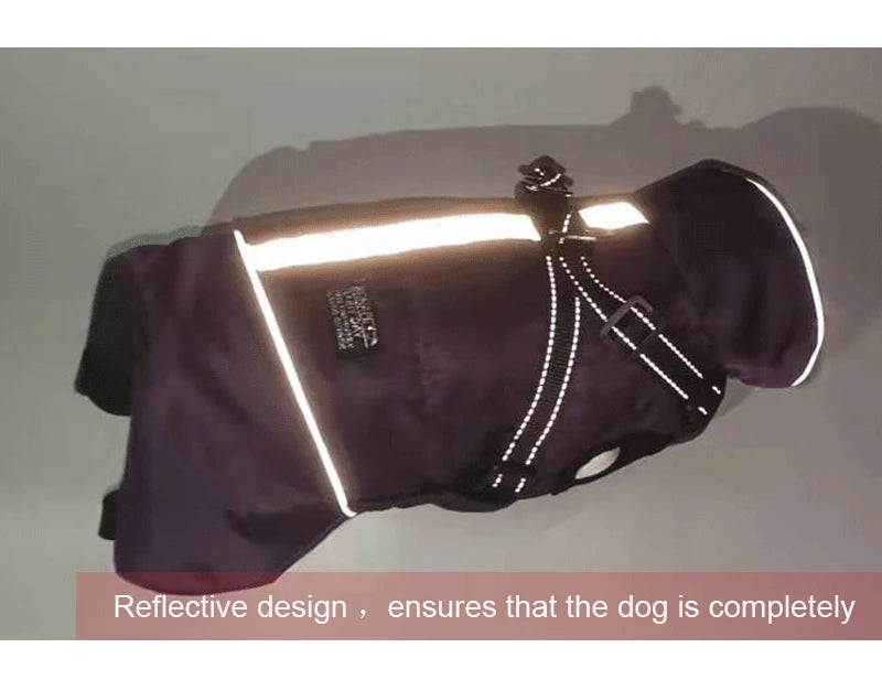 Winter Dog Jacket with Harness – Waterproof, Windproof Coat for Small & Medium Dogs