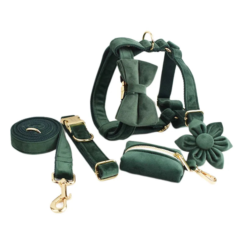 Velvet Personalized Dog Collar, Leash & Harness Set