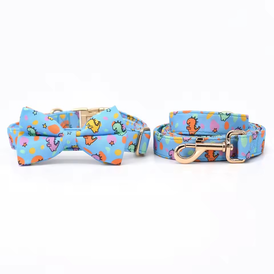 Dinosaur Dog Collar and Leash Set