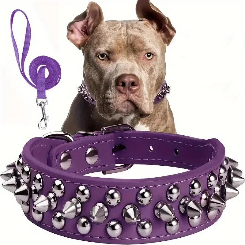 Spiked Dog Collar & Leash Set – Adjustable Leather Rivet Design for Outdoor Walking