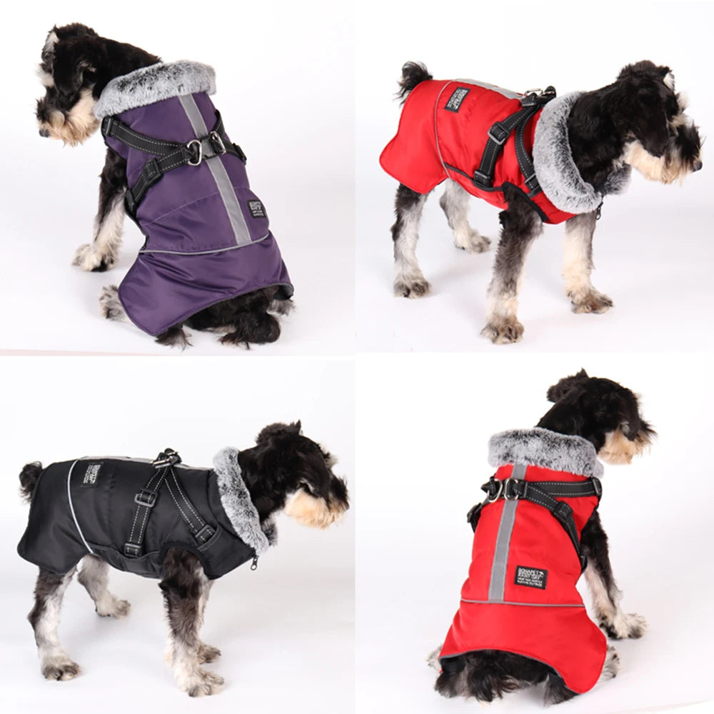 Winter Dog Jacket with Harness – Waterproof, Windproof Coat for Small & Medium Dogs