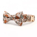 Wild Cactus Dog Collar and Leash Set