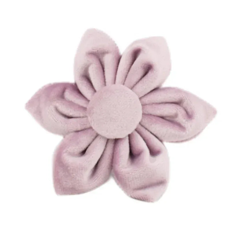 DDPaws  Flower / XS Deep Purple Velvet Set