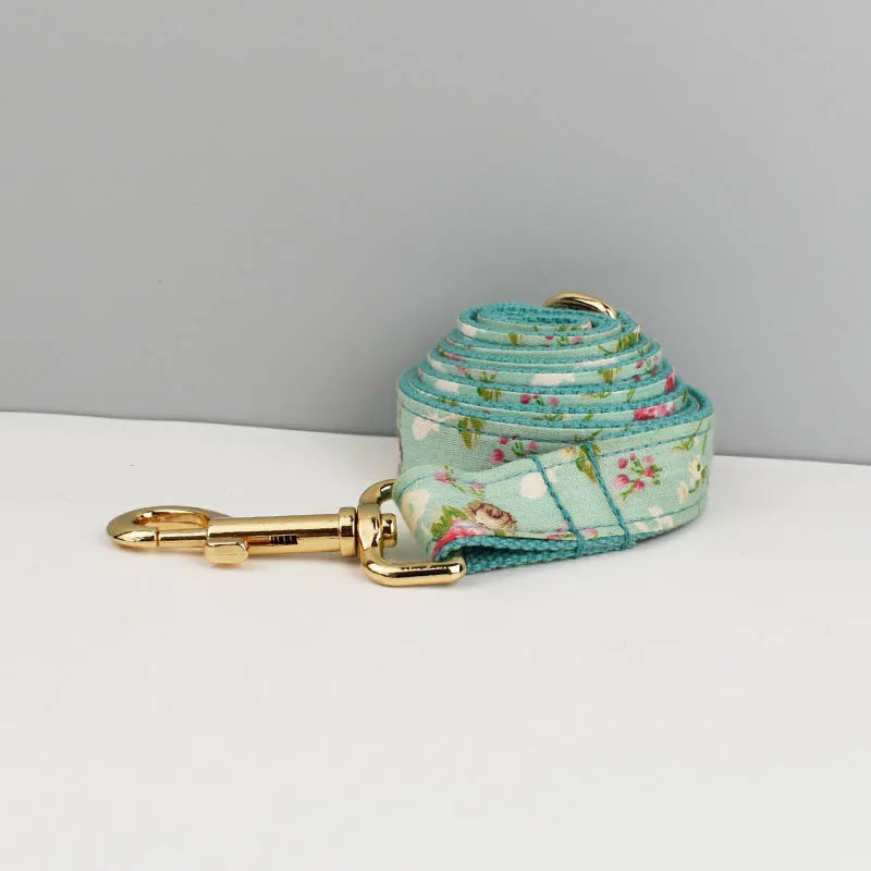 Personalized Dog Collar, Leash & Harness Set