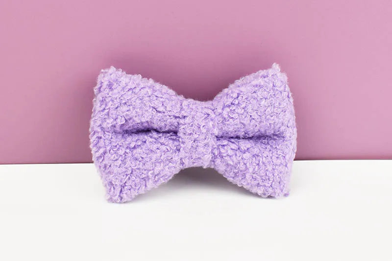 Teddy Velvet Personalized Dog Collar, Leash & Harness Set