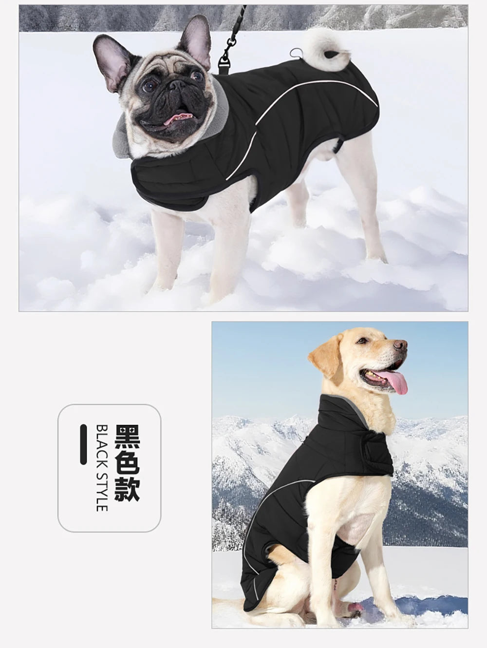 Waterproof Warm Dog Winter Jacket – Reflective Outdoor Cotton Coat for Medium & Large Dogs