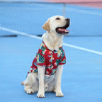 Hawaiian Beach Dog T-Shirt – Lightweight Summer Outfit for Small Dogs & Cats