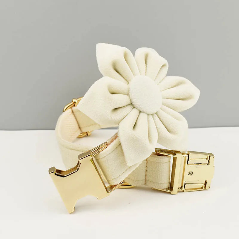 Milky White Velvet Personalized Dog Collar, Leash & Harness Set