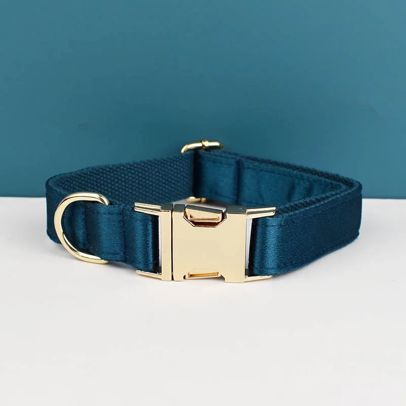 Personalized Dog Collar, Leash & Harness Set