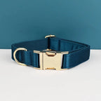 Personalized Dog Collar, Leash & Harness Set