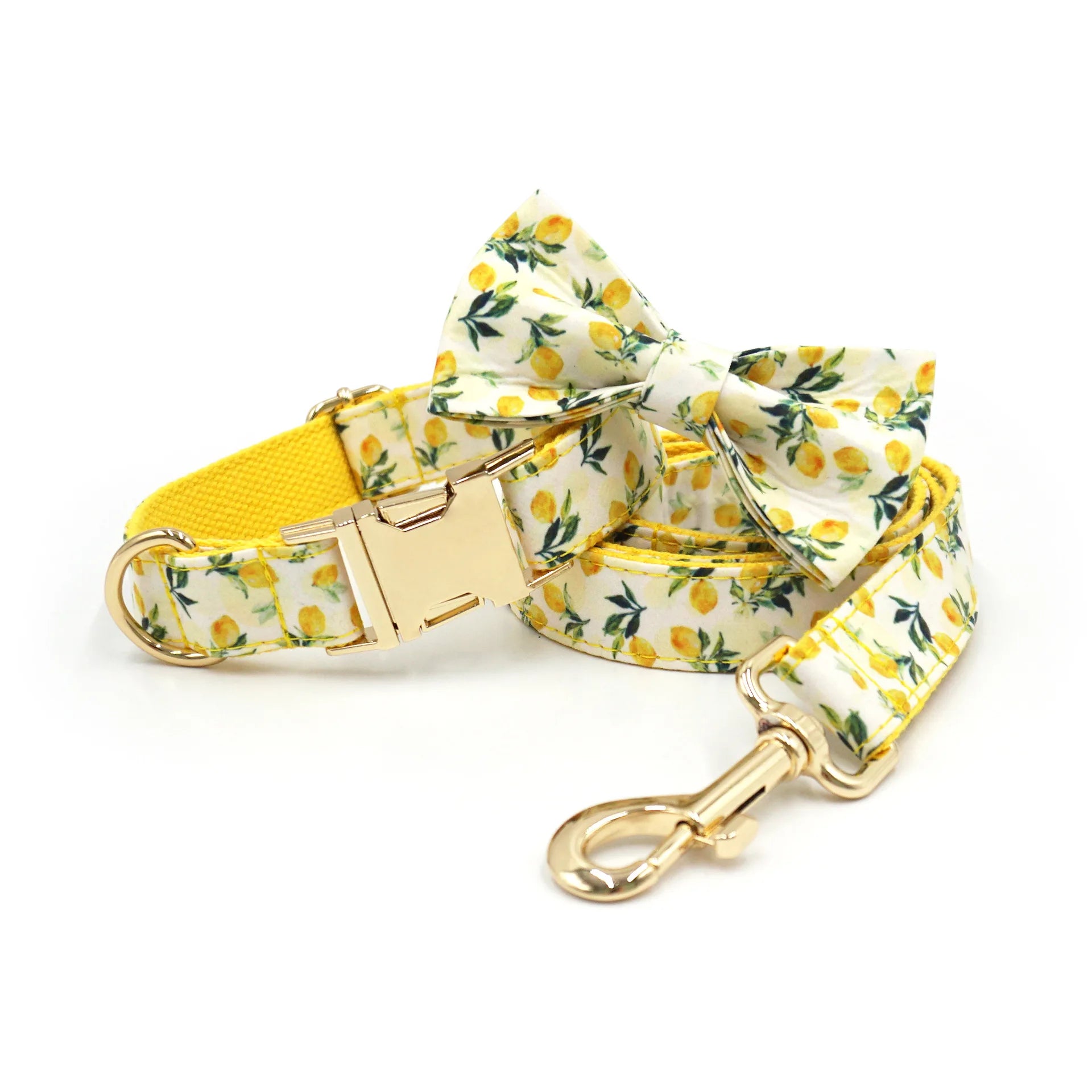 Summer Fruit Personalized Dog Bowtie Collar and Leash Set, Custom Laser Pet Necklace, Cute Pet Accessory