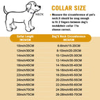 Stainless Steel Cuban Chain Dog Collar – Durable Training & Walking Metal Collar