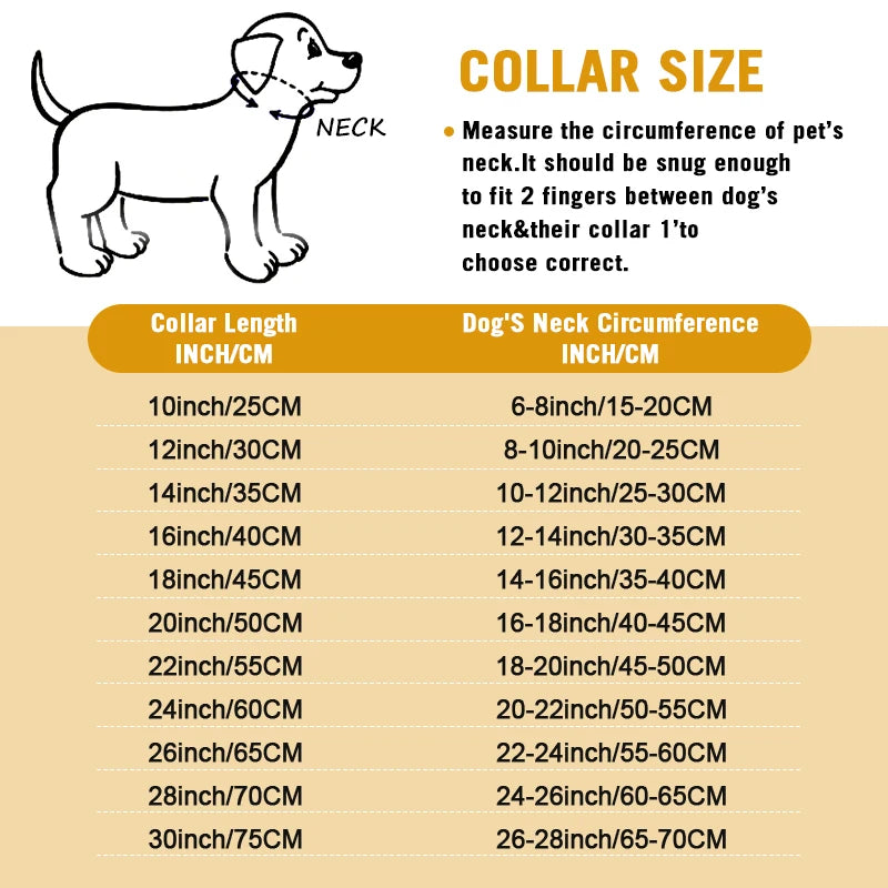 Stainless Steel Cuban Chain Dog Collar – Durable Training & Walking Metal Collar