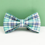 Bowtie